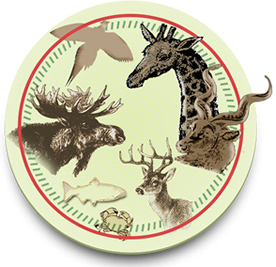 Wild Game Dinner logo