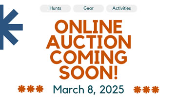 Online Auction